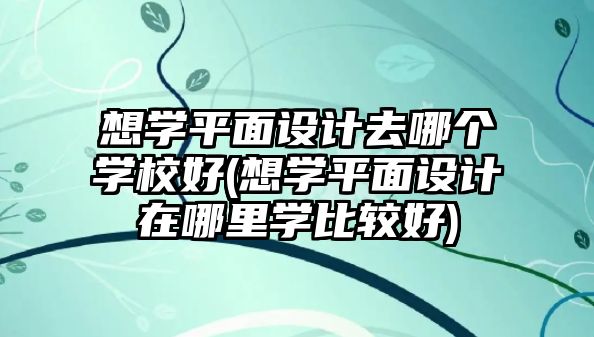 想學(xué)平面設(shè)計去哪個學(xué)校好(想學(xué)平面設(shè)計在哪里學(xué)比較好)