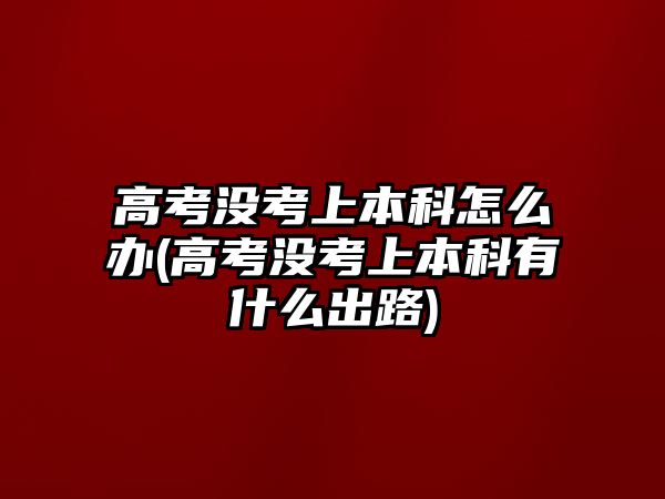 高考沒考上本科怎么辦(高考沒考上本科有什么出路)