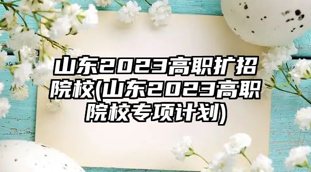 山東2023高職擴(kuò)招院校(山東2023高職院校專項計劃)