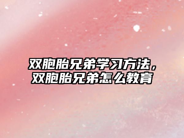 雙胞胎兄弟學(xué)習(xí)方法，雙胞胎兄弟怎么教育