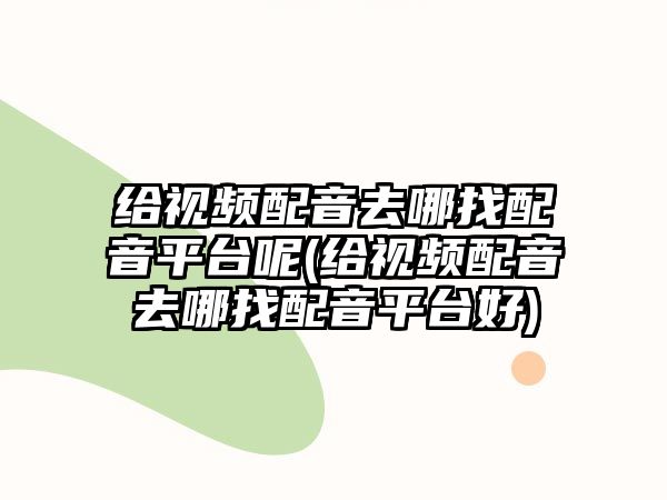 給視頻配音去哪找配音平臺(tái)呢(給視頻配音去哪找配音平臺(tái)好)