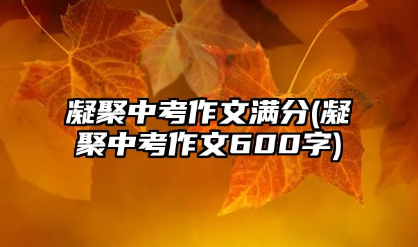 凝聚中考作文滿(mǎn)分(凝聚中考作文600字)