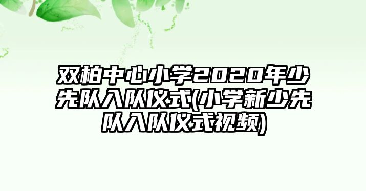 雙柏中心小學(xué)2020年少先隊(duì)入隊(duì)儀式(小學(xué)新少先隊(duì)入隊(duì)儀式視頻)