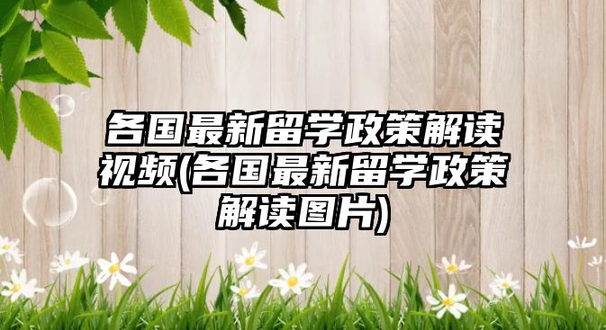 各國最新留學(xué)政策解讀視頻(各國最新留學(xué)政策解讀圖片)