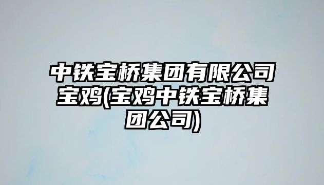 中鐵寶橋集團(tuán)有限公司寶雞(寶雞中鐵寶橋集團(tuán)公司)