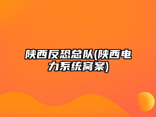 陜西反恐總隊(陜西電力系統(tǒng)窩案)