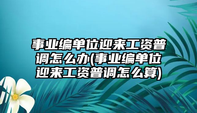 事業(yè)編單位迎來工資普調(diào)怎么辦(事業(yè)編單位迎來工資普調(diào)怎么算)