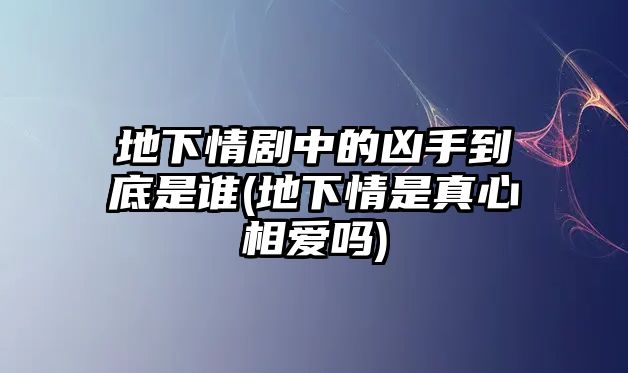 地下情劇中的兇手到底是誰(地下情是真心相愛嗎)