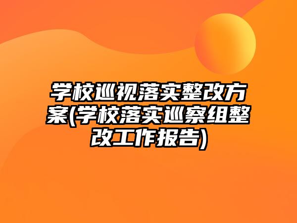 學校巡視落實整改方案(學校落實巡察組整改工作報告)