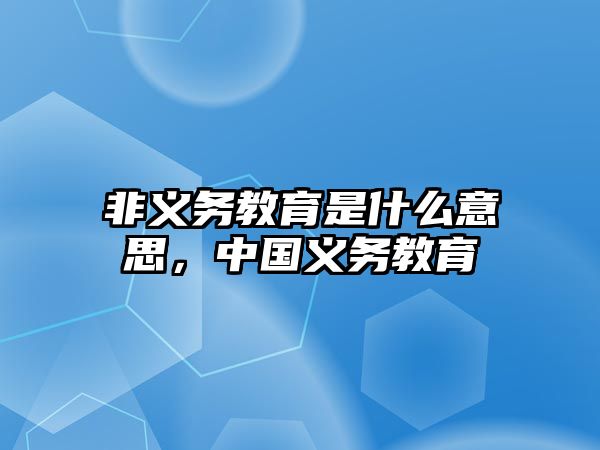 非義務教育是什么意思，中國義務教育