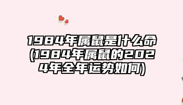 1984年屬鼠是什么命(1984年屬鼠的2024年全年運(yùn)勢如何)