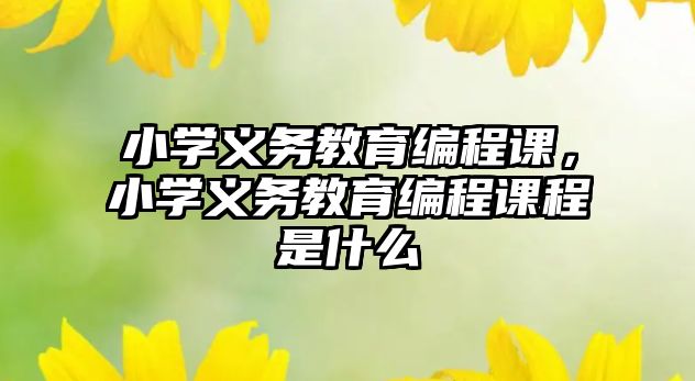 小學(xué)義務(wù)教育編程課，小學(xué)義務(wù)教育編程課程是什么