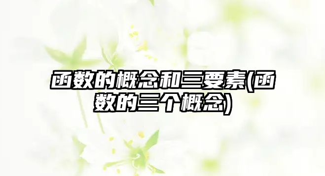 函數(shù)的概念和三要素(函數(shù)的三個概念)