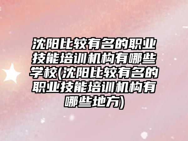 沈陽比較有名的職業(yè)技能培訓(xùn)機(jī)構(gòu)有哪些學(xué)校(沈陽比較有名的職業(yè)技能培訓(xùn)機(jī)構(gòu)有哪些地方)