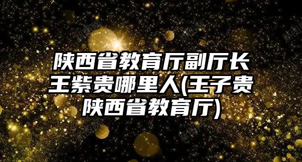 陜西省教育廳副廳長王紫貴哪里人(王子貴陜西省教育廳)