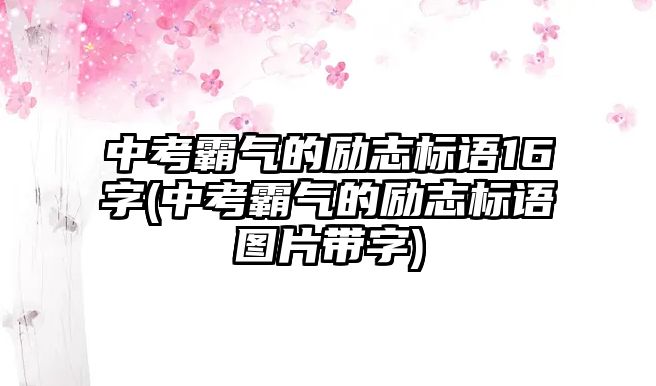 中考霸氣的勵志標語16字(中考霸氣的勵志標語圖片帶字)