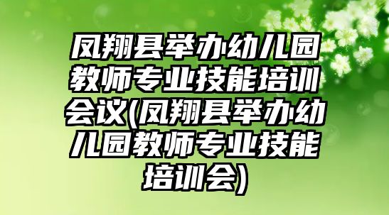 鳳翔縣舉辦幼兒園教師專業(yè)技能培訓(xùn)會(huì)議(鳳翔縣舉辦幼兒園教師專業(yè)技能培訓(xùn)會(huì))