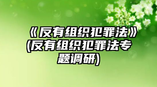 《反有組織犯罪法》(反有組織犯罪法專題調研)