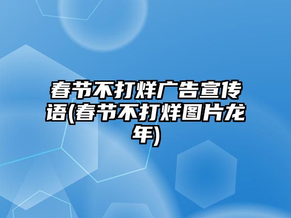 春節(jié)不打烊廣告宣傳語(春節(jié)不打烊圖片龍年)