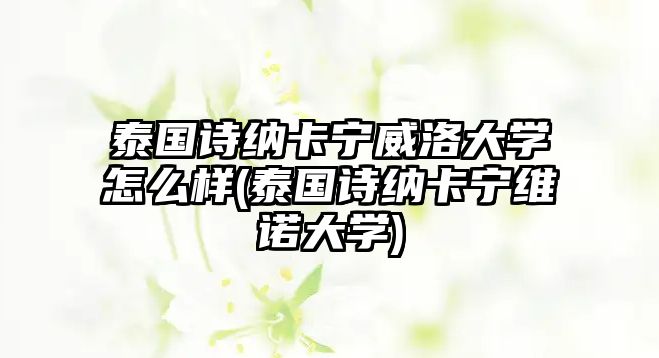 泰國(guó)詩(shī)納卡寧威洛大學(xué)怎么樣(泰國(guó)詩(shī)納卡寧維諾大學(xué))