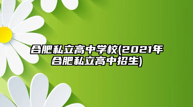 合肥私立高中學(xué)校(2021年合肥私立高中招生)