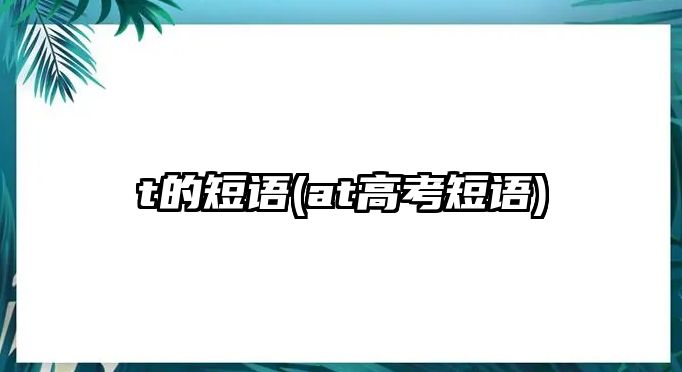 t的短語(at高考短語)