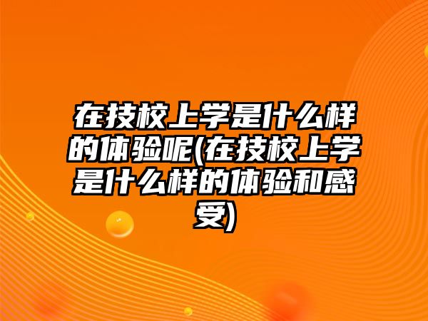 在技校上學(xué)是什么樣的體驗(yàn)?zāi)?在技校上學(xué)是什么樣的體驗(yàn)和感受)