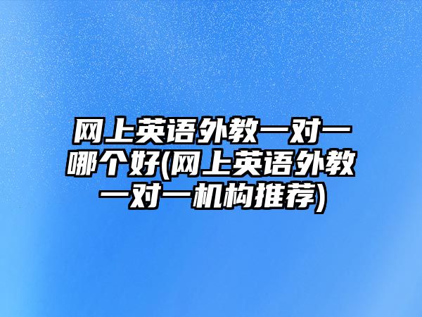 網(wǎng)上英語外教一對一哪個(gè)好(網(wǎng)上英語外教一對一機(jī)構(gòu)推薦)