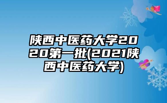 陜西中醫(yī)藥大學(xué)2020第一批(2021陜西中醫(yī)藥大學(xué))