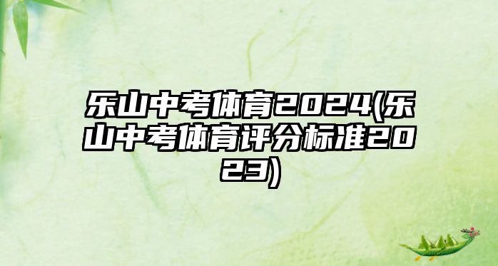 樂山中考體育2024(樂山中考體育評分標準2023)