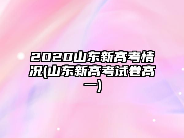 2020山東新高考情況(山東新高考試卷高一)