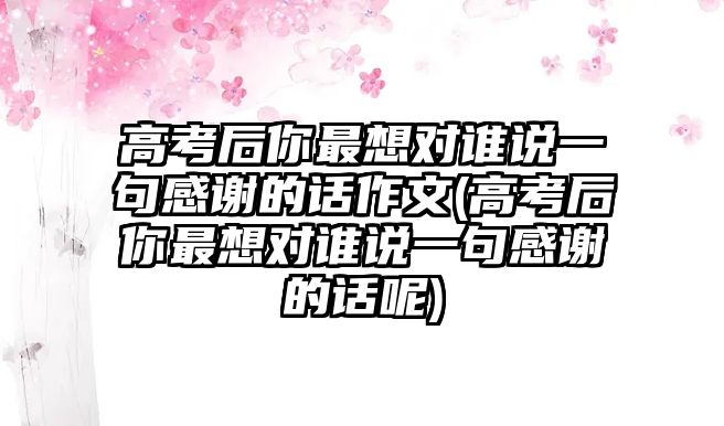 高考后你最想對誰說一句感謝的話作文(高考后你最想對誰說一句感謝的話呢)