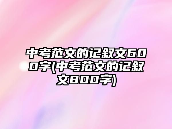 中考范文的記敘文600字(中考范文的記敘文800字)