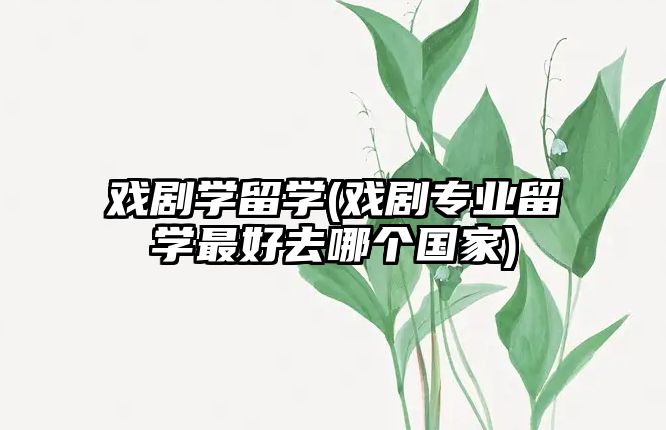 戲劇學留學(戲劇專業(yè)留學最好去哪個國家)