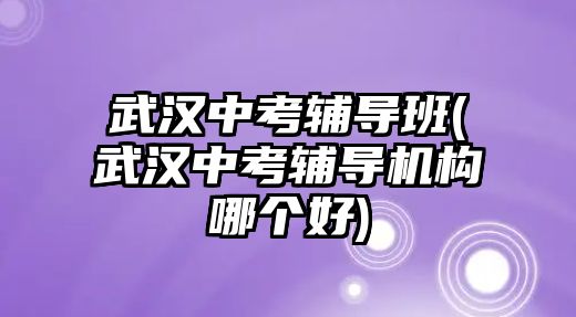 武漢中考輔導班(武漢中考輔導機構(gòu)哪個好)