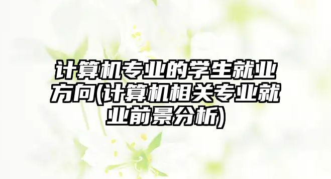 計算機專業(yè)的學生就業(yè)方向(計算機相關專業(yè)就業(yè)前景分析)