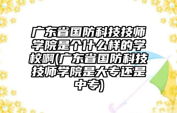 廣東省國防科技技師學(xué)院是個什么樣的學(xué)校啊(廣東省國防科技技師學(xué)院是大專還是中專)