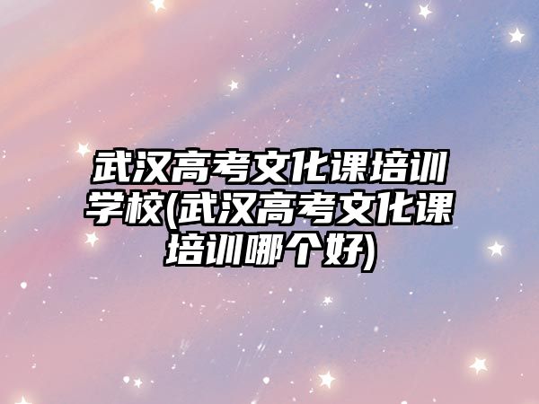 武漢高考文化課培訓(xùn)學(xué)校(武漢高考文化課培訓(xùn)哪個(gè)好)