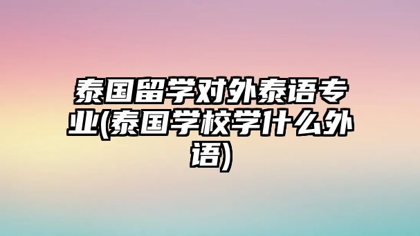 泰國(guó)留學(xué)對(duì)外泰語專業(yè)(泰國(guó)學(xué)校學(xué)什么外語)