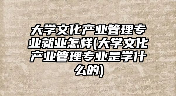 大學(xué)文化產(chǎn)業(yè)管理專業(yè)就業(yè)怎樣(大學(xué)文化產(chǎn)業(yè)管理專業(yè)是學(xué)什么的)