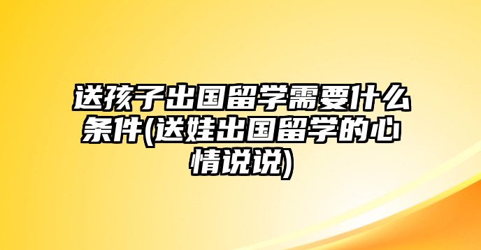 送孩子出國留學(xué)需要什么條件(送娃出國留學(xué)的心情說說)