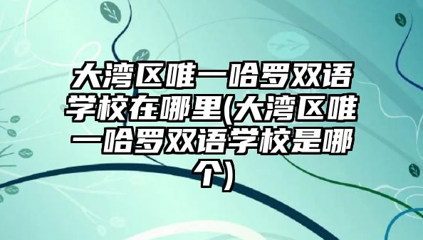 大灣區(qū)唯一哈羅雙語學(xué)校在哪里(大灣區(qū)唯一哈羅雙語學(xué)校是哪個)