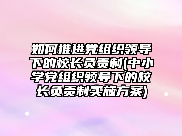 如何推進(jìn)黨組織領(lǐng)導(dǎo)下的校長(zhǎng)負(fù)責(zé)制(中小學(xué)黨組織領(lǐng)導(dǎo)下的校長(zhǎng)負(fù)責(zé)制實(shí)施方案)