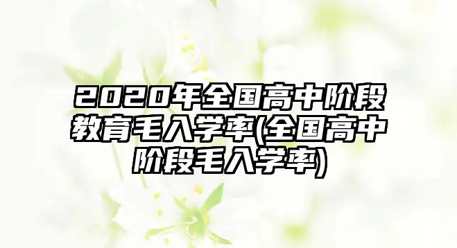 2020年全國高中階段教育毛入學率(全國高中階段毛入學率)