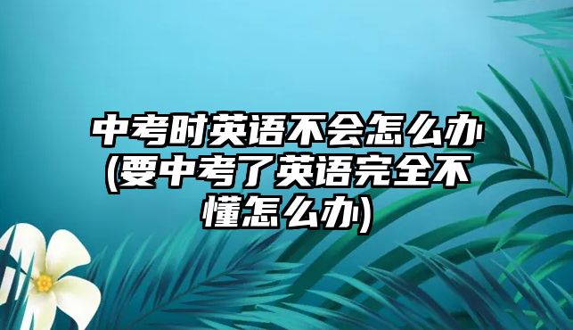 中考時(shí)英語(yǔ)不會(huì)怎么辦(要中考了英語(yǔ)完全不懂怎么辦)