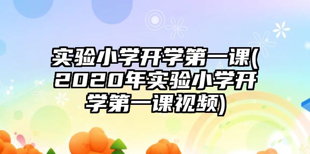 實驗小學開學第一課(2020年實驗小學開學第一課視頻)