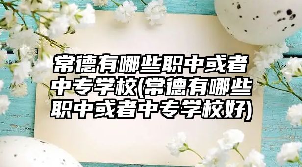 常德有哪些職中或者中專學校(常德有哪些職中或者中專學校好)