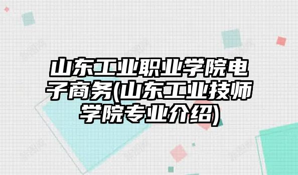 山東工業(yè)職業(yè)學院電子商務(山東工業(yè)技師學院專業(yè)介紹)