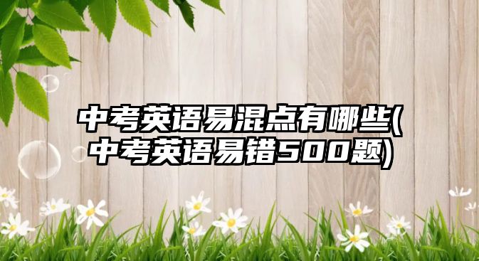 中考英語易混點(diǎn)有哪些(中考英語易錯(cuò)500題)