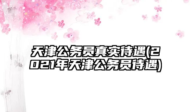 天津公務(wù)員真實(shí)待遇(2021年天津公務(wù)員待遇)